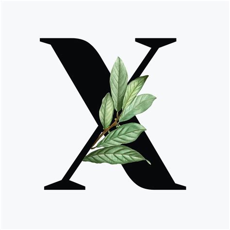 Botanical Capital Letter X Font Design Free Image By