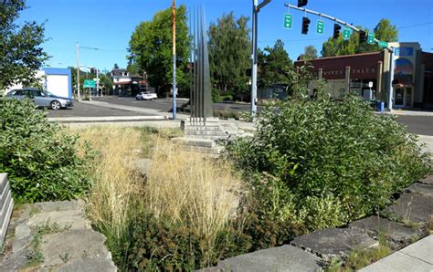 Sandy Boulevard Streetscape The Landscape Architects Guide To Portland
