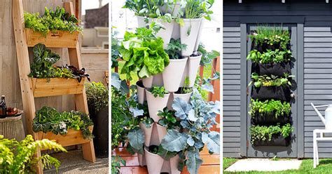 50 Vertical Vegetable Gardens How To Build Pictures ~ Kitchen Gardens