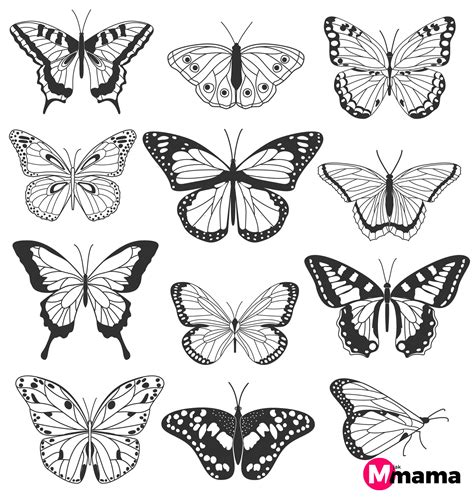 Motyl Kolorowanka Do Wydruku 15 Wzorów Dla Małych I Starszych Dzieci
