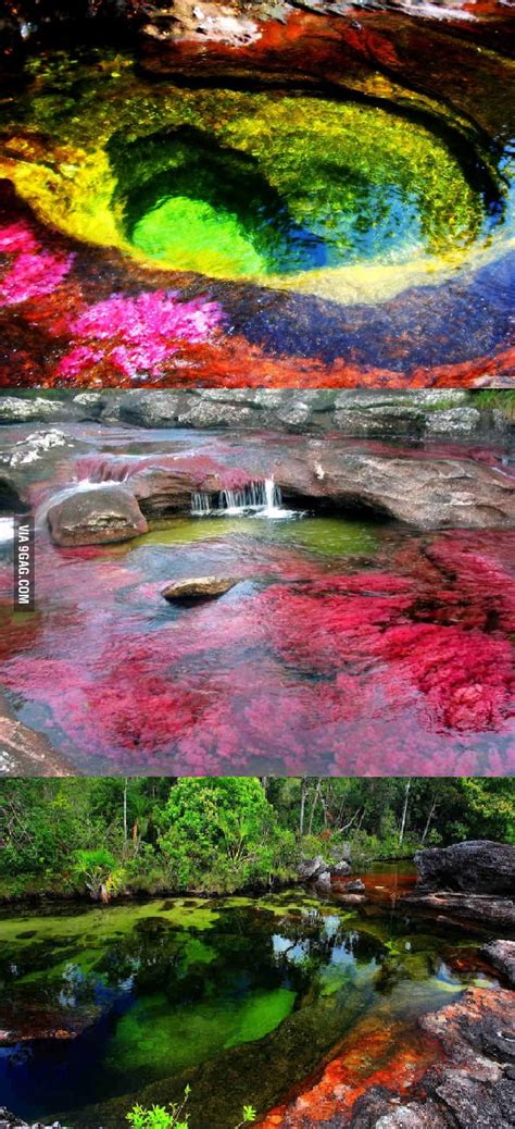 Cano Cristales The River Of Seven Colors Colombia 9gag