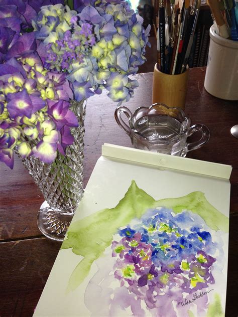 Hydrangeas From My Garden Tisha Sheldon Floral Art Watercolor