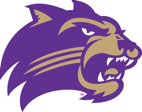 Western Carolina University Colors Team Logo