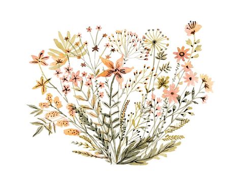 Wildflower Drawing Flower Illustration Watercolour Inspiration