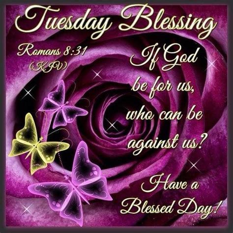 Good Morning Everyone Happy Tuesday I Pray That You Have A Safe