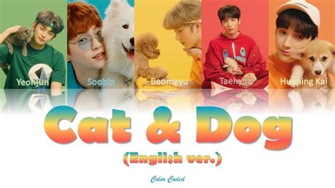 Txt투모로우바이투게더 Cat And Dogenglish Verlyrics Color Coded Lyrics Eng