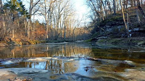 Spring Visits to Columbia Conservation Areas | VisitMO Spotlight