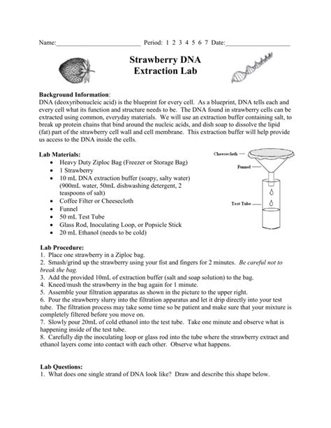 Dna extraction is a process that purify dna from a specific sample by using a series of physical and chemical methods. Strawberry DNA Extraction Lab