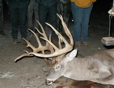 10 Best States To Hunt Whitetail Deer