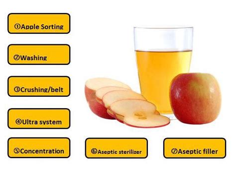 Apple Juice Concentrate Processing Line Aseptic Sterilizer For Sale