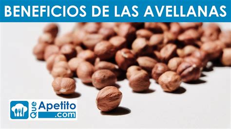 Propiedades Y Beneficios De Las Avellanas QueApetito YouTube