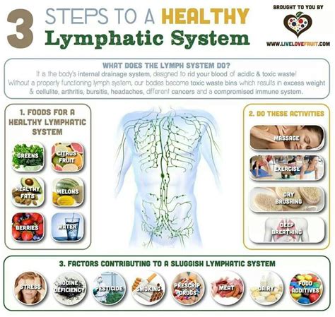 Lymph Drainage Is The Secret To Staying Healthy And Preventing Cancer