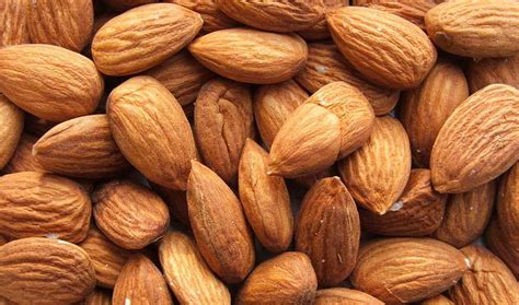 Detecting Bad Almonds Before You Bite Inside Science