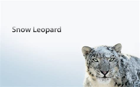 Mac Os X Snow Leopard Wallpapers Hd Wallpaper Cave