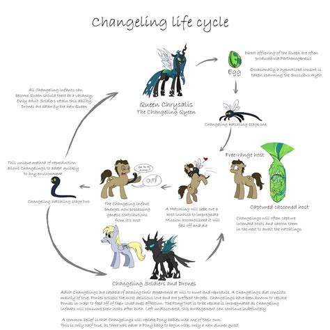 Mlp Changeling Life Cycle By Caycowa On Deviantart