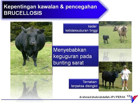 Haiwan penting kepada manusia, tumbuhan dan haiwan lain.kepentingan haiwan. KEPENTINGAN PENCEGAHAN PENYAKIT BRUCELLOSIS KEPADA ...