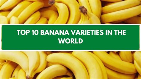 Top 10 Different Types Of Banana Varieties In The World Youtube