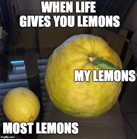 When Life Gives You Lemons Meme