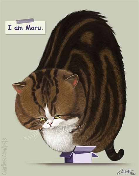 I Am Maru By Charreed On Deviantart Animal Pictures Silly Animals Pets