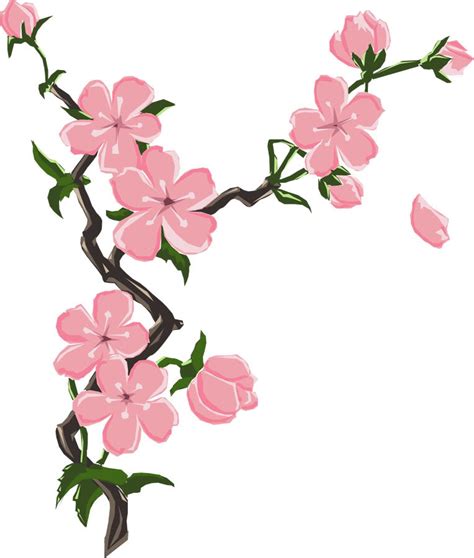 Cherry Blossom Flower Drawing At Getdrawings Free Download