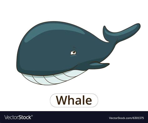 Whale Sea Animal Fish Cartoon Royalty Free Vector Image