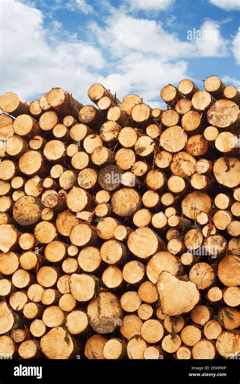 Woodpile Of Freshly Cut Lumber Stacked On The Back Of A Truck For The