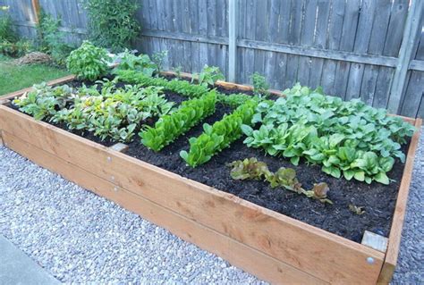How To Build A Raised Wooden Garden Planting Bed How To Instructions