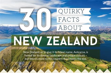 30 Quirky Facts About New Zealand Infographic Dauntless Jaunter