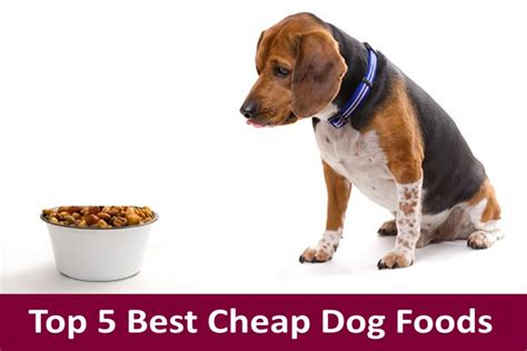 What is the healthiest dog food? Top 5 Best Cheap Dog Foods Buyer's Guide For 2021