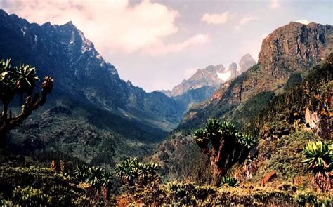Trekking Rwenzori Mountains National Park The Mystical Mountains Of