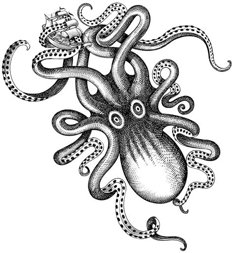 Kraken Png Free Images All In Here
