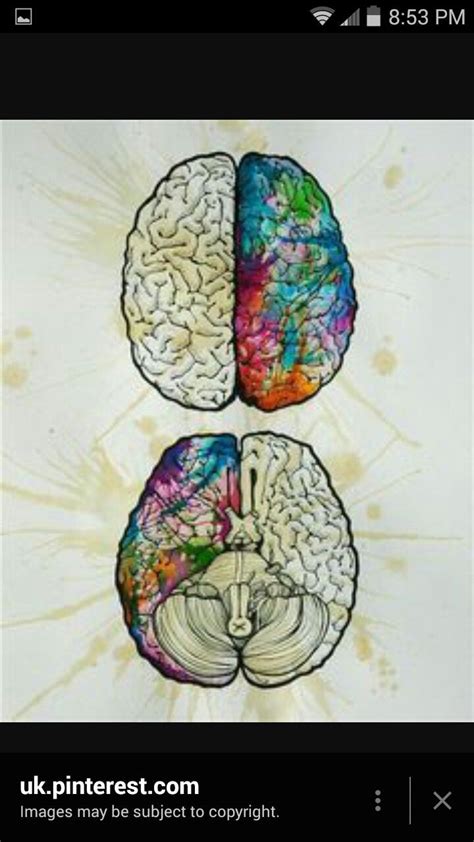 Collection by randy litton • last updated 3 weeks ago. Pin by Gabriel Montero on brain tat | Brain tattoo, Brain ...