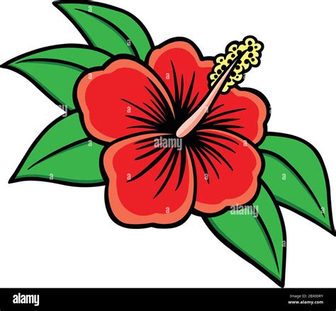 Hibiscus An Illustration Of A Hibiscus Flower Stock Vector Image And Art