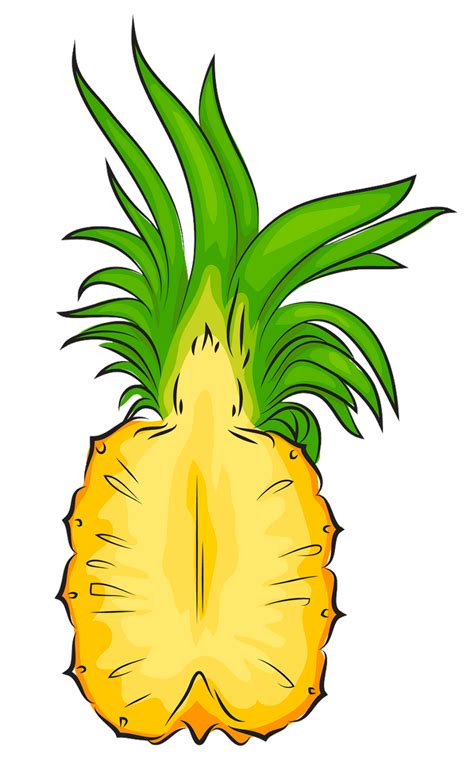 Download High Quality Pineapple Clip Art Cut Out Transparent Png Images