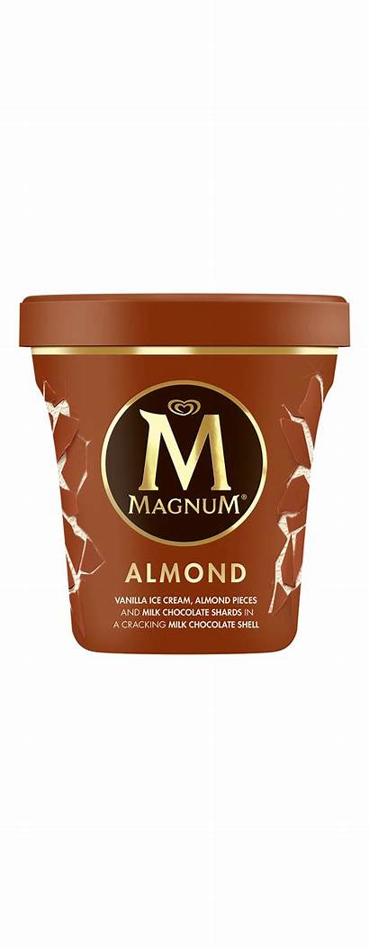 Ice Cream Magnum Pint Almond Lody