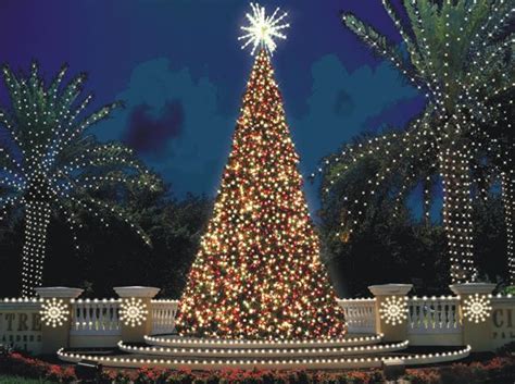 Christmas Tree Wallpaper Bing Images Christmas Tree