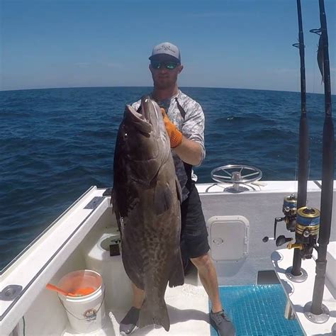Captain Rickys Fishing Charters Pensacola Fl