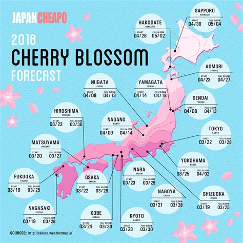 Japan Cherry Blossom Forecast 2023 Japan Cheapo Japan Cherry