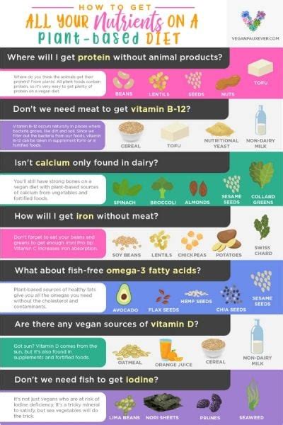 Vegan Nutrition 101 Getting All Your Nutrients On A Vegan Diet Guide