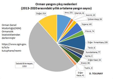 Orman Yangınlarının Nedenleri Türkiye ve Dünya da Hektarlarca Ormanı