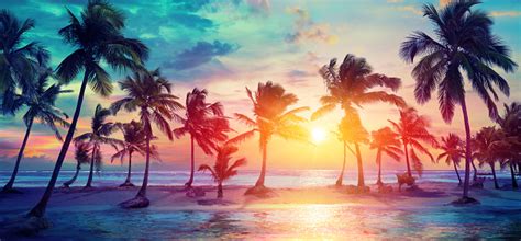 Palm Trees Silhouettes On Tropical Beach At Sunset Modern Vintage