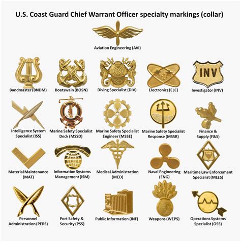 U S Coast Guard Enlisted Rank Insignia Vector Image Vrogue