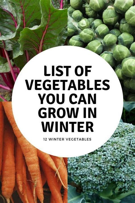 12 Vegetables You Can Grow All Winter Winter Vegetables Gardening