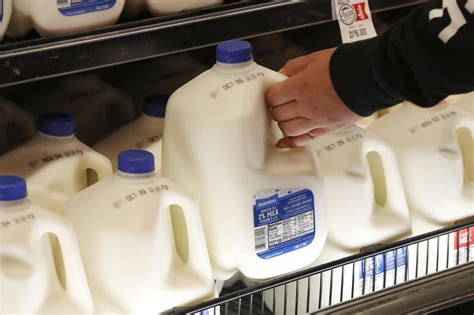 Dairy Milk Rates Cheap Sale Save 69 Jlcatjgobmx