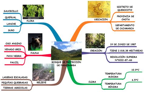 Example Mapa Conceptual De Las Regiones Naturales Del Ecuador Png Hot
