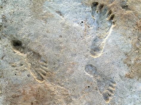 Incredible Fossil Footprints Are The Earliest Known Trace Of Humans In