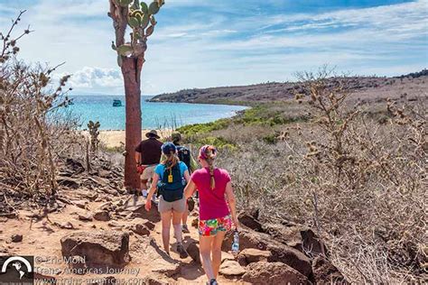 Visiting Santa Fe Island In The Galapagos Trans Americas Journey