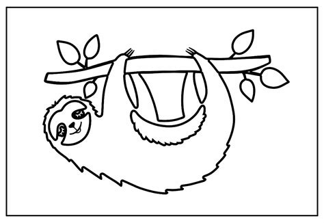 Desenhos do Bicho Preguiça para colorir Bora Colorir