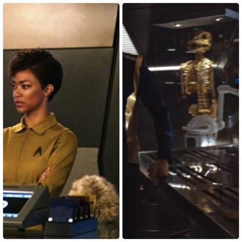 In The Latest Episode Of Star Trek Discovery A Tribble And A Gorn