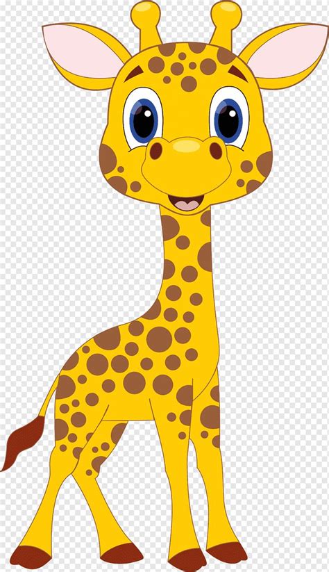 Cartoon Giraffe Giraffe Cartoon Drawing Giraffe Drawing
